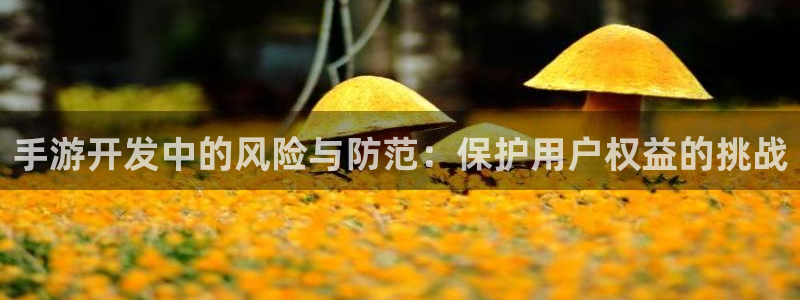 最新28大神预：手游开发中的风险与防范：保护用户权益的挑战