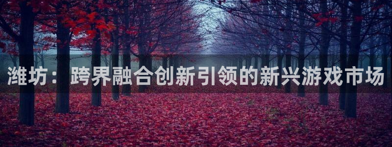 28大神官网