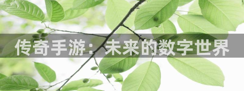 28大神预测吧