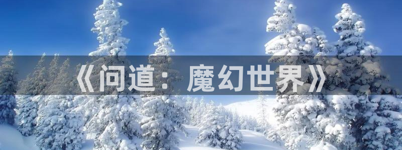 大神28预测手机版下载：《问道：魔幻世界》