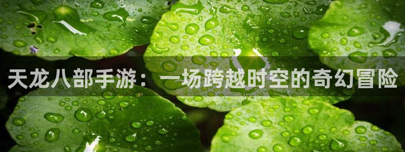 大神28大发28：天龙八部手游：一场跨越时空的奇幻冒险