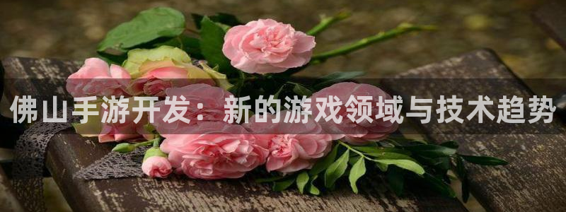 28大神官方版ios：佛山手游开发：新的游戏领域与技术趋势