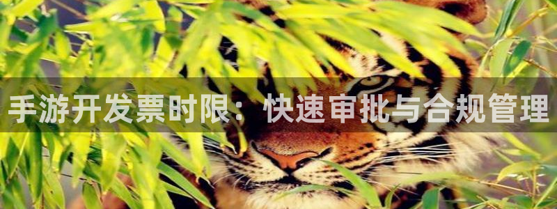 大神28手机版下载：手游开发票时限：快速审批与合规管理