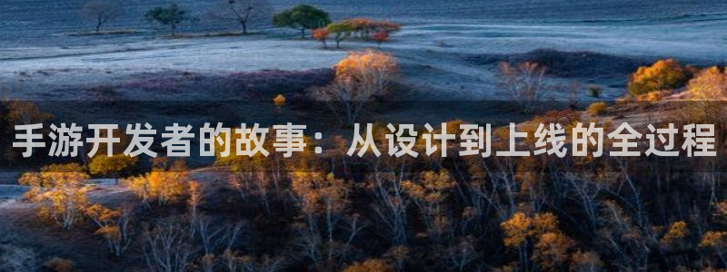 28大神加拿大在线预测网站：手游开发者的故事：从设计到上线的