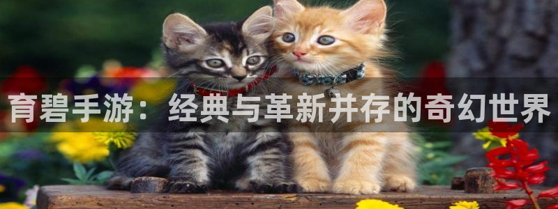 大神28大发28：育碧手游：经典与革新并存的奇幻世界