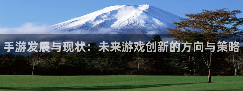 28大神专业版下载地址：手游发展与现状：未来游戏创新的方向与