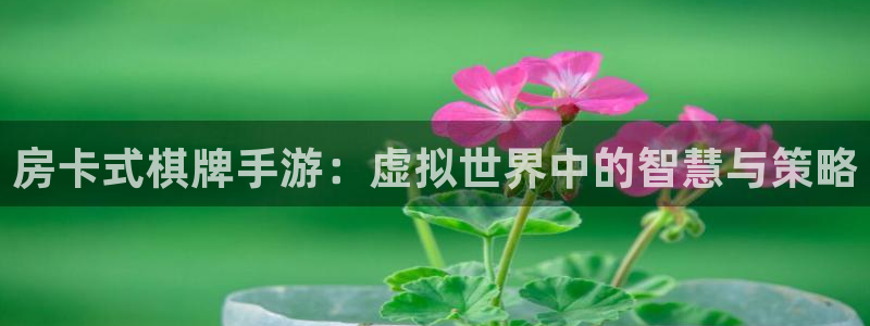 大神加拿大pc28：房卡式棋牌手游：虚拟世界中的智慧与策略